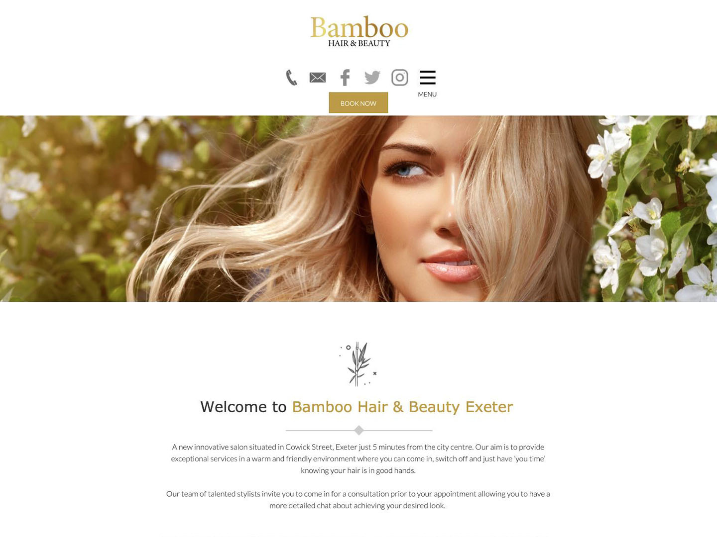 The Bamboo website created by it'seeze Exeter